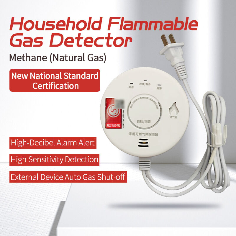 Professional Household Natural Gas Gas Leakage Alarm Device LZ-3952 High Sensitivity Sound Light Alarm Wall Mounted 5 Year Sensor Lifespan